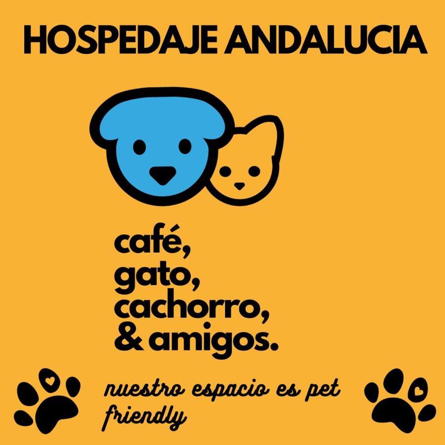 Casa Andalucia Hostel Florianópolis Kültér fotó